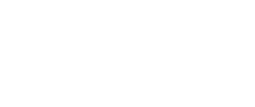 Logo Arana blanco-06 1
